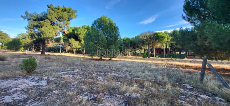 Foto 7aa8aa5d-f125-4b52-988c-e7d5d2fee974. Terreno residenziale in calle santinos 8 in Tudela de Duero