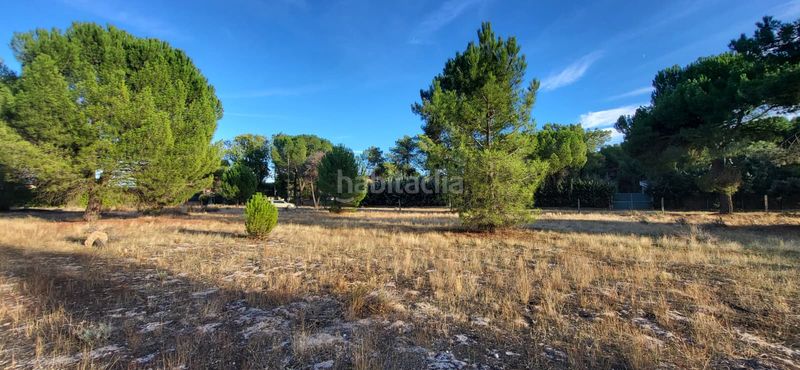 Foto a4e921eb-a3b8-4278-8440-542e9fa14e6c. Terreno residenziale in calle santinos 8 in Tudela de Duero