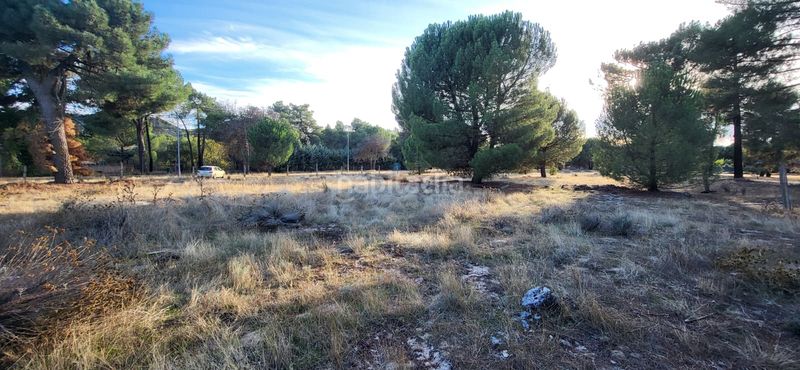 Foto b935b8b0-bbb4-4f2d-9781-83b2a21335b5. Terreno residenziale in calle santinos 8 in Tudela de Duero