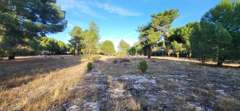 Foto c0bde360-6a16-441b-bc5a-bc308bd0013c. Terreno residenziale in calle santinos 8 in Tudela de Duero
