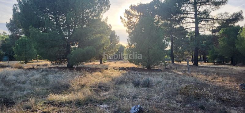 Foto d34639d1-f738-4e9f-aed1-19d165459692. Terreno residenziale in calle santinos 8 in Tudela de Duero