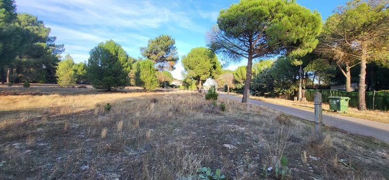 Foto ee3eecf4-e175-4c45-af18-f4496cbc8dcb. Terreno residenziale in calle santinos 8 in Tudela de Duero