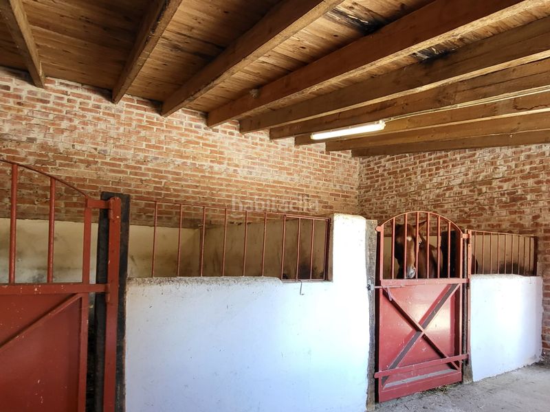 Foto ded12565-33d2-42b7-91e4-1bdba7a852d7. Finca rústica a Cigales