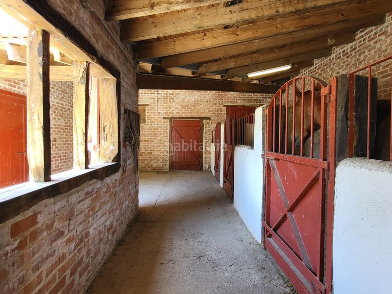 Foto 925adfbc-8003-45d4-a33a-126a74ef7836. Finca rústica en Cigales