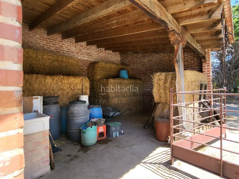 Foto c70a81a9-2ea6-40b5-ad50-1a5142cb7a13. Finca rústica en Cigales