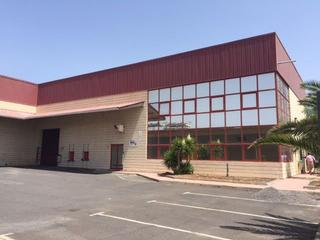 Rent Industrial building in Arafo