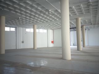 Rent Industrial building in Buenos Aires - Chamberí - Las Moraditas. Se alquila nave industria en polígono costa sur