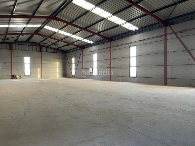 Foto 1a87995e-9cd6-4d86-bce4-1840bf35a0e6. Rent industrial building in Arafo