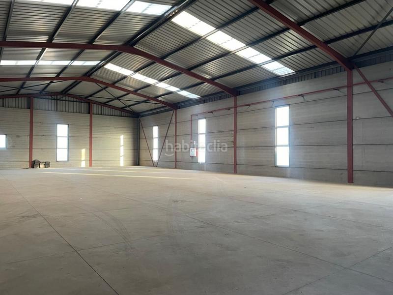 Foto ecc6fbd4-e22e-4261-afcf-39274ed8a8bc. Rent industrial building in Arafo