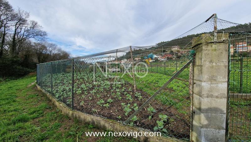 Foto 5fd5a11b-b104-4293-89e2-57b56afbad97. Fondo rustico in O Hío Cangas