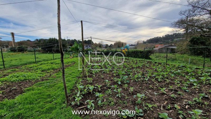 Foto 7b1f6f45-4047-4ac0-9c89-a965bb93fed5. Fondo rustico in O Hío Cangas