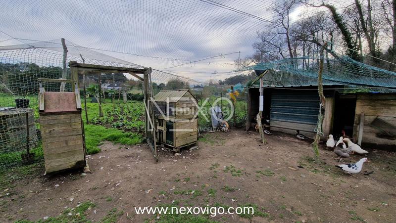 Foto 9bb019e8-b5b3-42b6-9a29-3b250d9f0335. Fondo rustico in O Hío Cangas