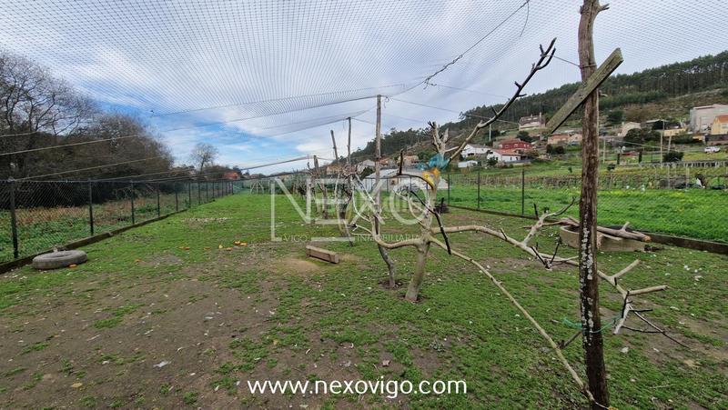 Foto ab1d647b-11d2-432b-bd18-32c38ce2f4be. Fondo rustico in O Hío Cangas