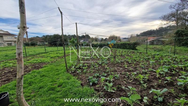 Foto d1dec9f7-9cdb-4571-9f0d-a9ffa15a3787. Fondo rustico in O Hío Cangas