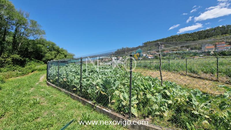 Foto d533eabc-1b99-4e06-a0a2-542ded3a6465. Fondo rustico in O Hío Cangas