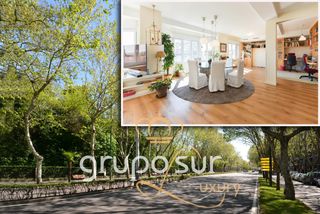 Rent Flat in Paseo de zorrilla 46. Fantástico piso en el paseo de zorrilla, en la esquina con el pa