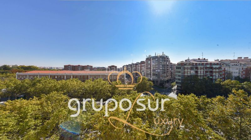 Foto 5b5777a7-2847-4f24-bc5a-724e5e29000d. Pis a paseo de zorrilla 48 a Campo Grande Valladolid