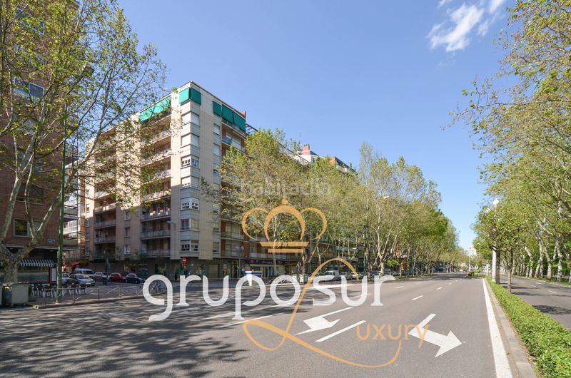 Foto 6bf8772f-66dd-4d5b-9ee3-b4aa87dd010f. Pis a paseo de zorrilla 48 a Campo Grande Valladolid