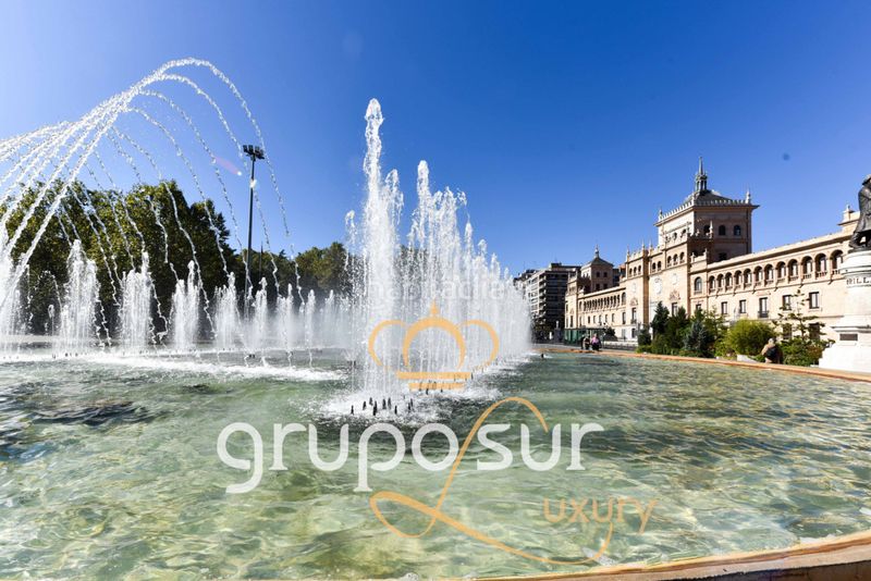 Foto 83d68d44-d2d3-4deb-b70a-e9bc6be5a709. Pis a paseo de zorrilla 48 a Campo Grande Valladolid