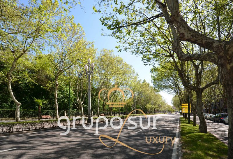 Foto 961a3b84-c0a4-4f88-ba57-97b49ffdeda6. Pis a paseo de zorrilla 48 a Campo Grande Valladolid