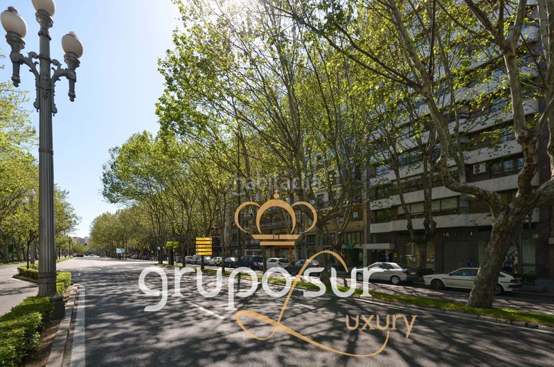 Foto a6c42d28-e46d-48f3-be58-9a43a28d7e09. Pis a paseo de zorrilla 48 a Campo Grande Valladolid