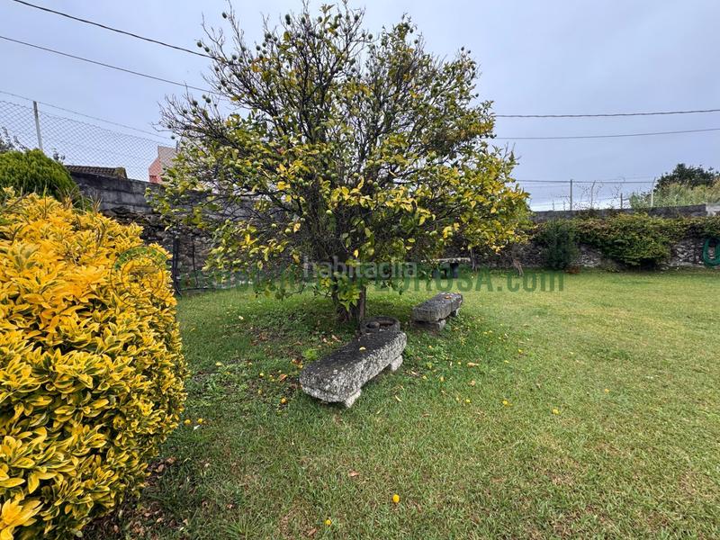 Foto f66f3e19-92e2-4692-8db2-0b33769c0724. Bauernhof in Marín