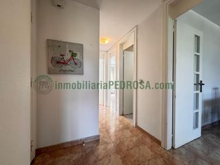 Apartament  Calle pastor diaz. Amplio apartamento en el corazón de pontevedra