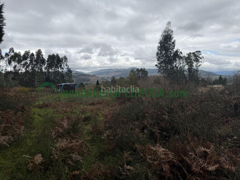 Foto 59d16a22-3591-4e5a-acf8-b7292b0b0f78. Finca rústica a Parroquias Rurales Pontevedra