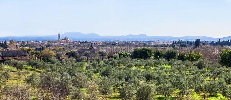 Foto c3d9227b-f987-43ee-a284-bd5b8e4542e5. Masía casa de pueblo .395 m2 constr. 80 m2 terraza. garaje en Binissalem