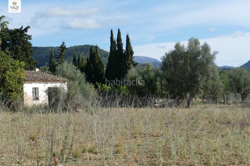 Foto 7ec41b66-8ab2-44ed-a503-d86a3fd152bd. Finca rústica  con caseta y agua en Binissalem