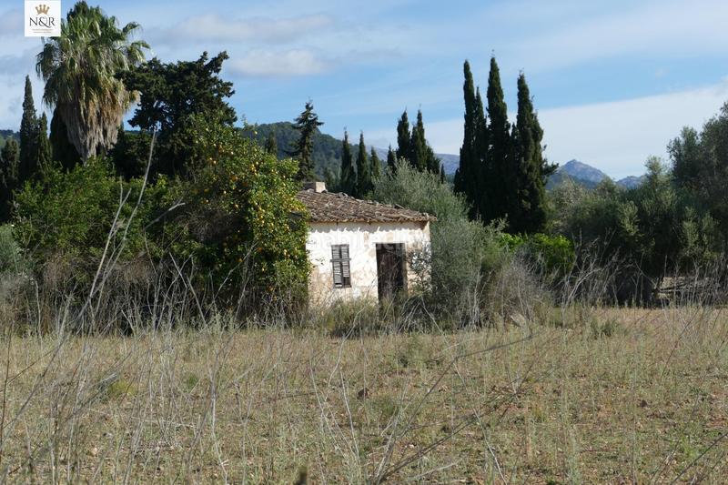 Foto 8b2fcfe5-d2b8-4df9-92c1-4f9d01821ab9. Finca rústica  con caseta y agua en Binissalem