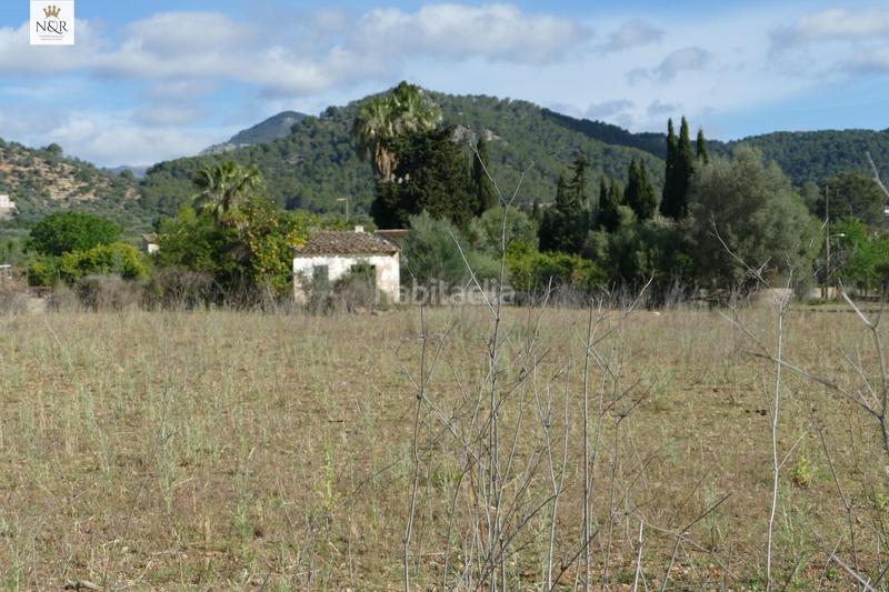 Foto c2f928d2-3b63-4f57-8d41-61ac8d3025eb. Finca rústica  con caseta y agua en Binissalem