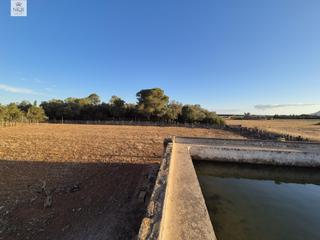 Masia a Muro. Finca edificable en muro con agua