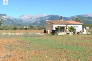 Country house in Binissalem. Finca edificable con vistas a la montaña en binissalem