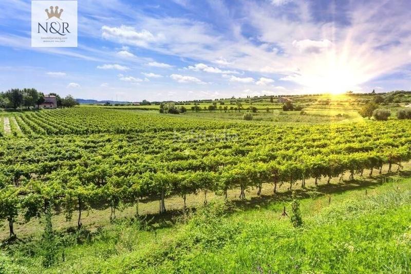 Foto 3fa749d2-574f-4e60-9378-9ff07f96f38f. Terreno residencial solar urbano con proyecto de ejecución en Binissalem