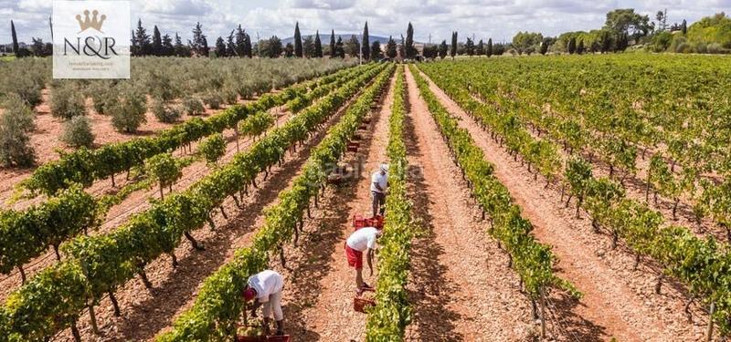 Foto 5d829cee-e658-4ec4-9450-83a48d934377. Terreno residencial solar urbano con proyecto de ejecución en Binissalem