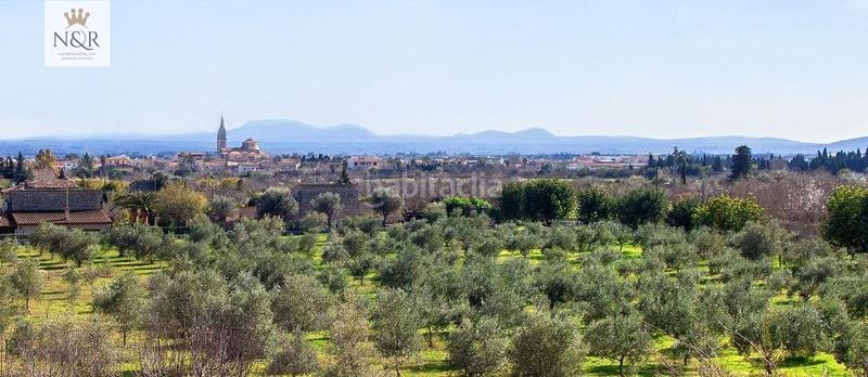 Foto cba55d64-b51d-4498-bd86-8edcba2a81ea. Terreno residencial solar urbano con proyecto de ejecución en Binissalem