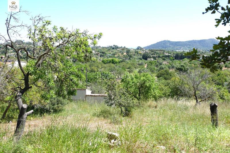 Foto a3bee892-6161-4713-bd07-ee7f0c2b2c1a. Masia a Centro Inca