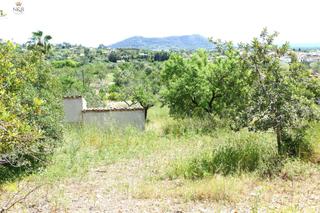 Bauernhof in Centro. Finca vallada  con caseta y aljibe