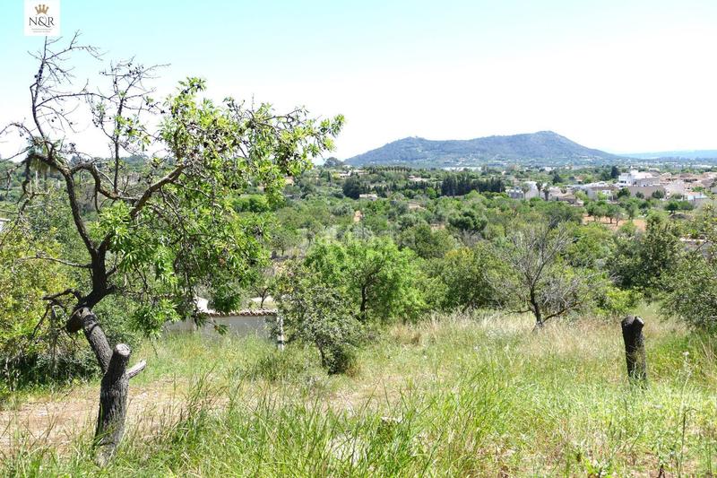 Foto c36b7708-e6b0-4b08-8191-07b4753e4e58. Masia a Centro Inca