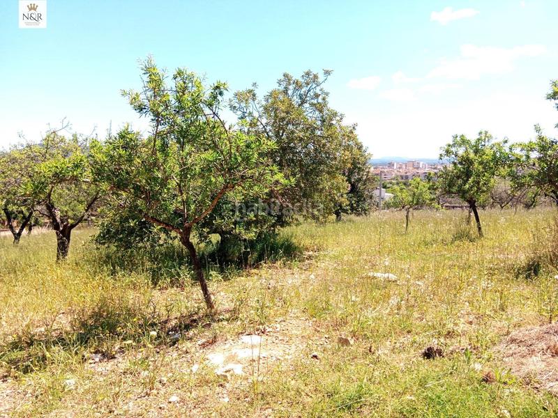 Foto c72eebd3-a4f1-4c39-803a-887c6154c5f9. Masia a Centro Inca