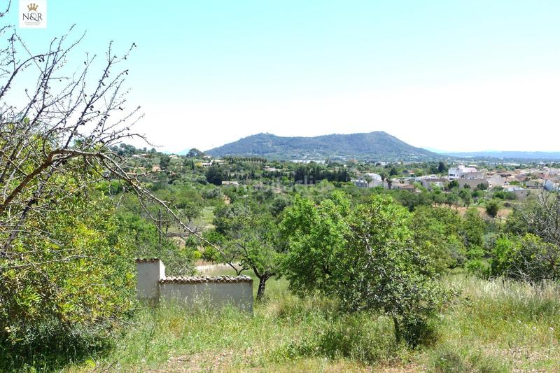 Foto df54e101-c679-4968-b6c7-f6580502fc69. Masia a Centro Inca