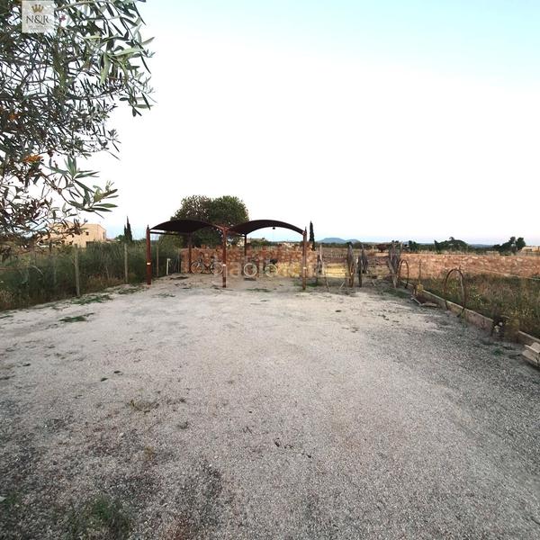 Foto 1076d00f-bf12-4a22-b4e8-5de0fd7780ea. Lloguer masia a Binissalem