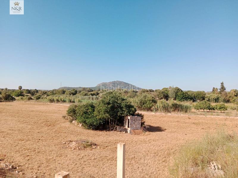 Foto 8f32008b-72de-48b5-a04d-c55cd6be57f0. Bauernhof in Búger