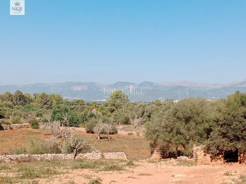 Foto 8236175e-cd4d-499a-abff-ff47ed157816. Casale in Sineu