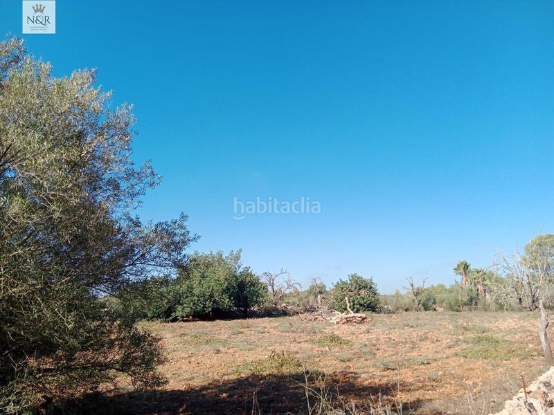 Foto 83b7aed0-9b7d-4a21-b66a-611aa5d60cc1. Casale in Sineu