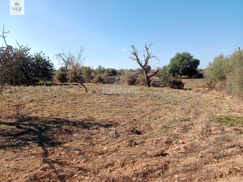 Foto 929fd7bd-b990-47a2-bbe6-36ef0834b7a4. Casale in Sineu