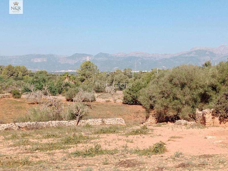 Foto a5f87407-3027-49ea-b339-79a6dea59df3. Casale in Sineu