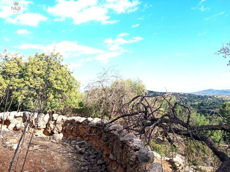 Foto 234a594d-937a-4b41-b6b5-31c4498c3d24. Bauernhof in Selva