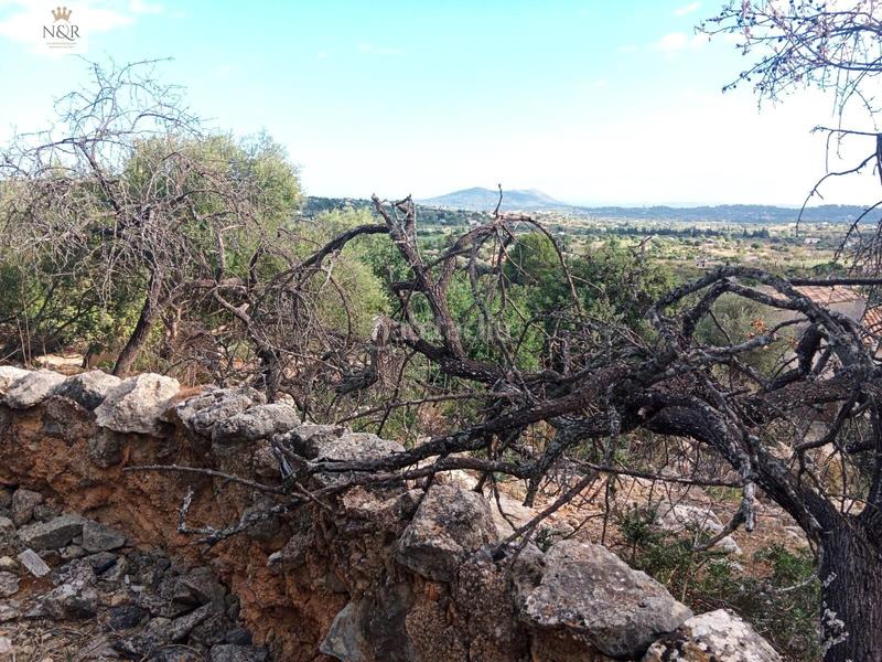 Foto 7bbba033-dbbb-49f7-b25c-8390e52b8edd. Bauernhof in Selva